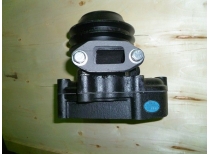 Насос водяной TDK 66 4LT/Water pump, Assy